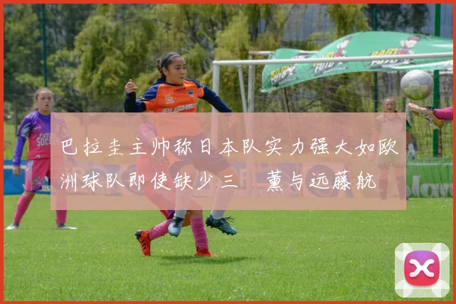 巴拉圭主帅称日本队实力强大如欧洲球队即使缺少三笘薰与远藤航