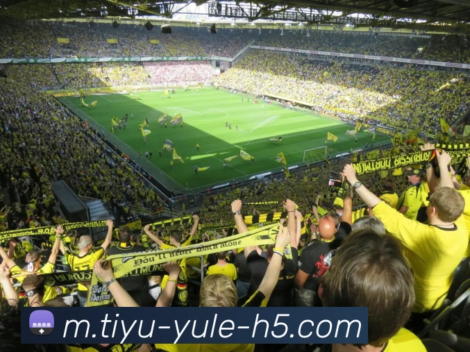 乐鱼体育平台生态图