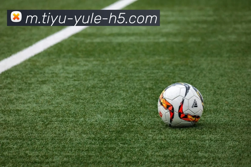 乐鱼体育APP 封面图